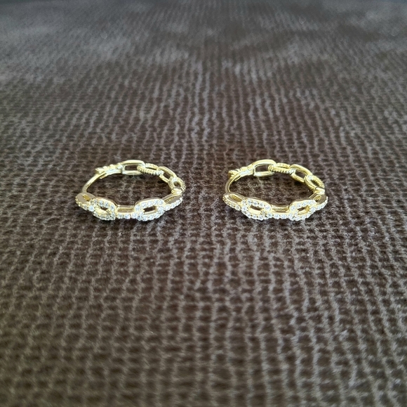 ✨️HP✨️Stella Rose🌹Gold💛 Chain🔗 Link Hoop Earrings - Picture 12 of 14